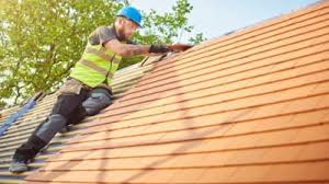 Best Cold Roofs  in Belleville, MI