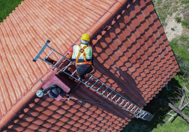 Best Roof Insulation Installation  in Belleville, MI